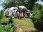 img_8451_small.jpg