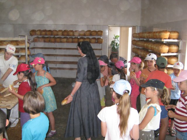 kp672.jpg
