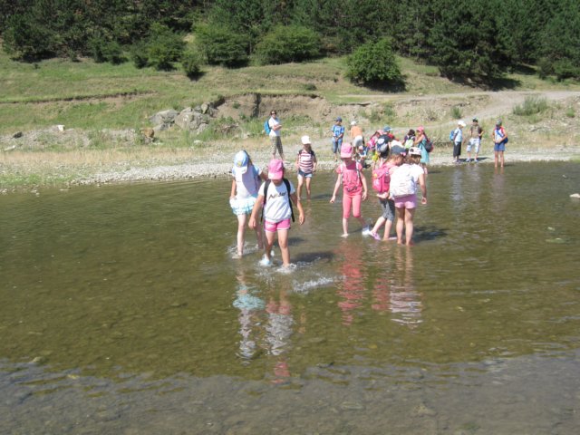 kp703.jpg