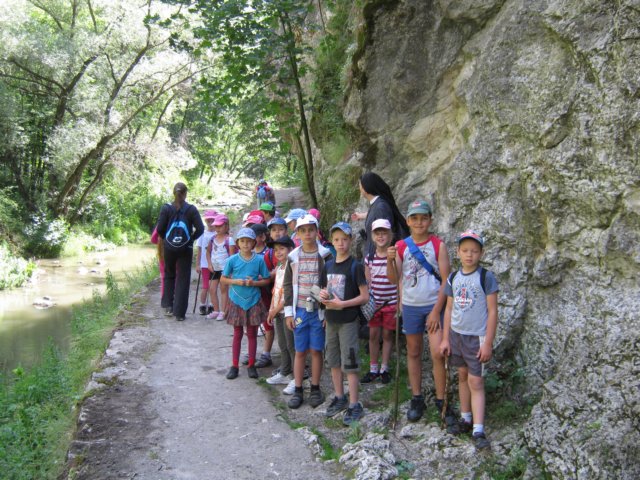 kp746.jpg